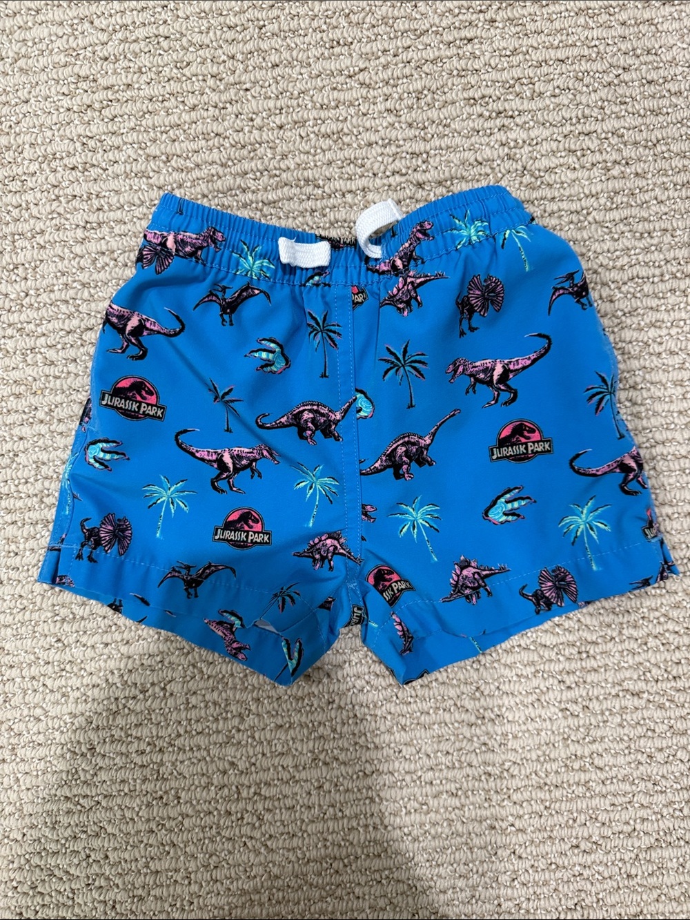 Swim Trunks